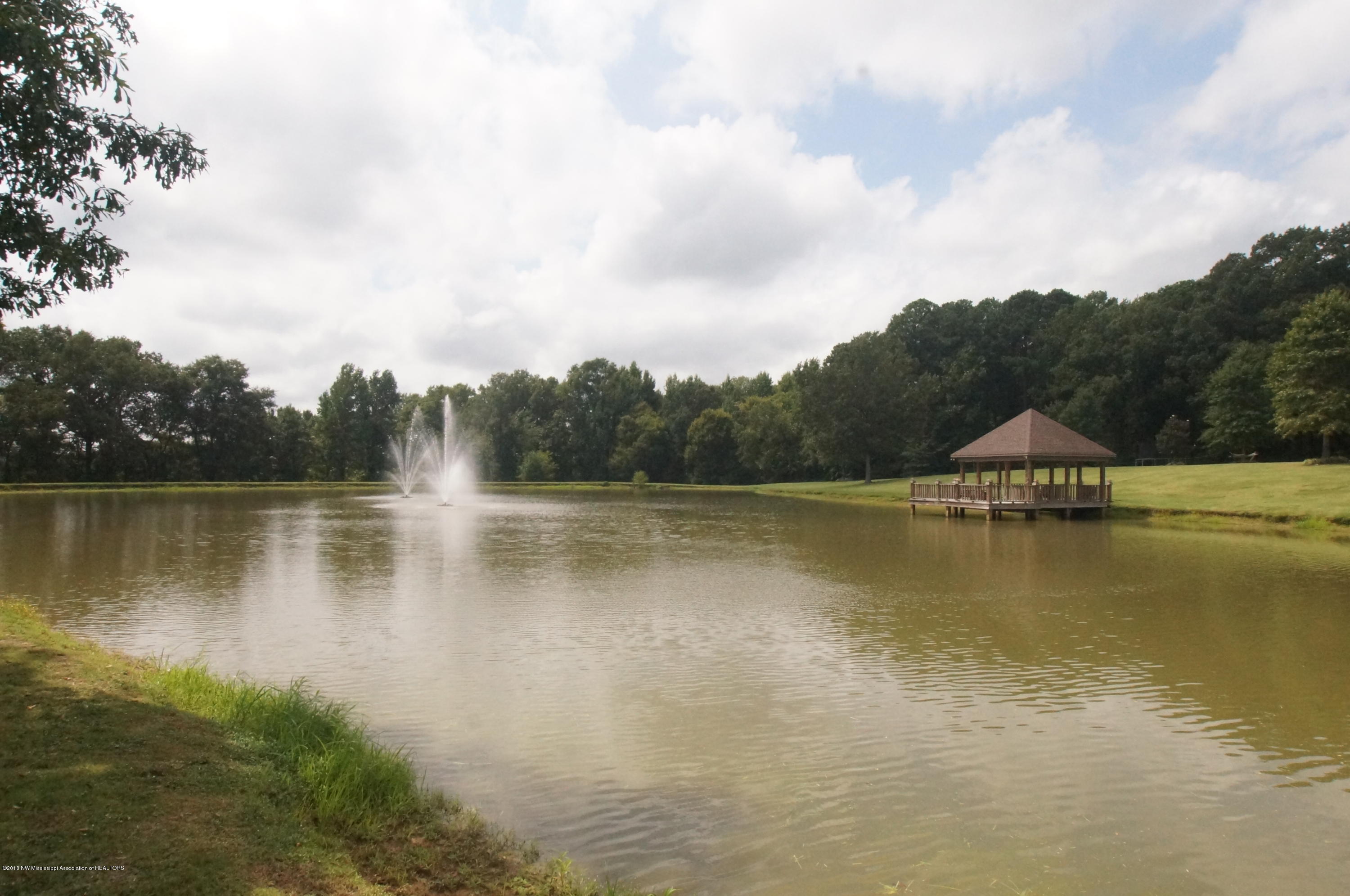 1995 Nesbit Road Nesbit, MS 38651 - Photo 57 of 63 DSC07924