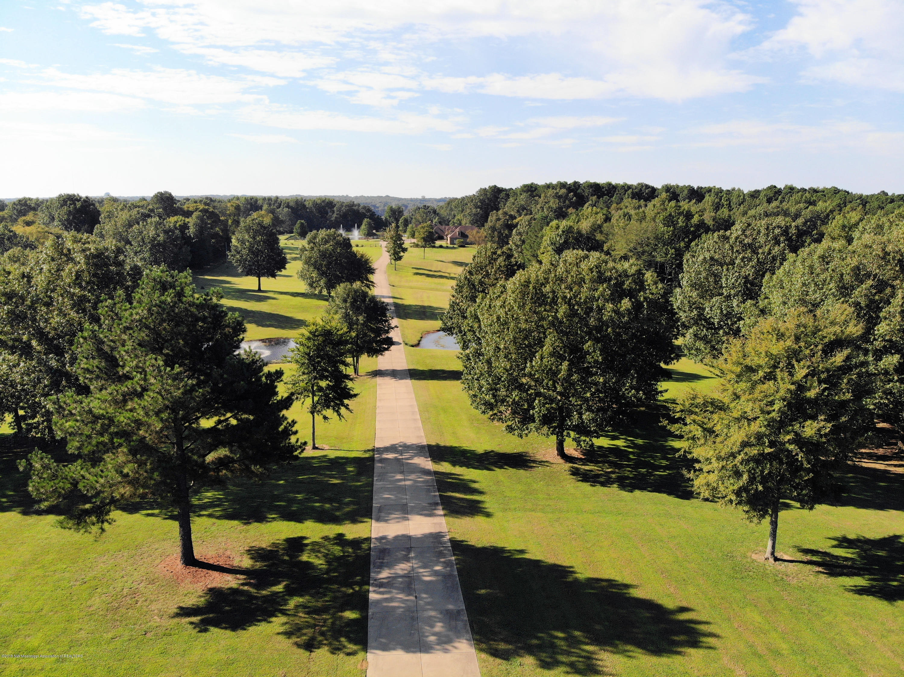 1995 Nesbit Road Nesbit, MS 38651 - Photo 60 of 63 DJI_0004