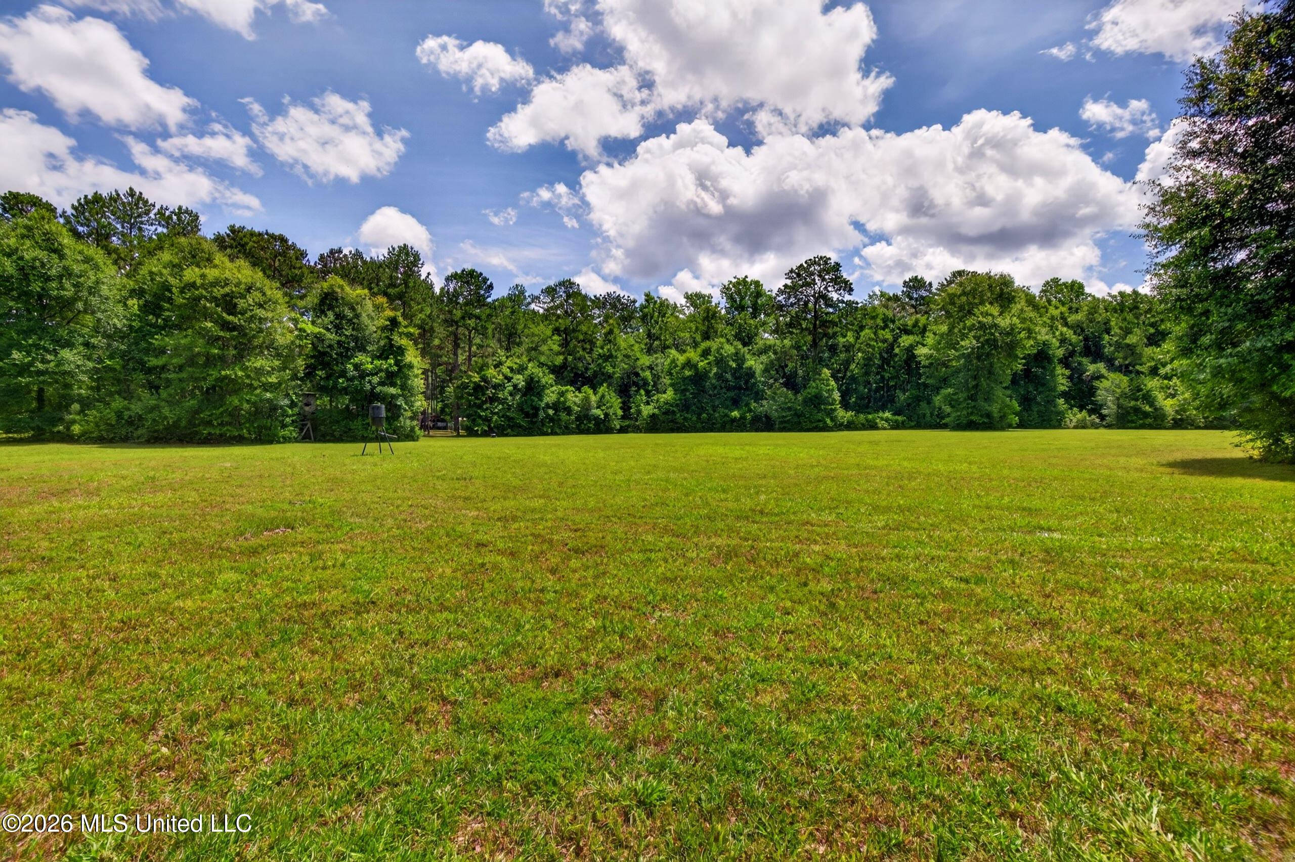 78 Game Reserve Road Columbia, MS 39429 - Photo 16 of 83 78GamerReserveRd.-49