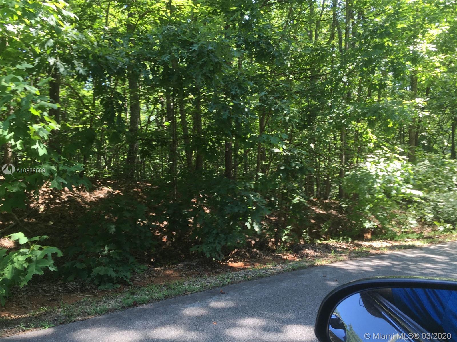 4 F Goose Creek Road Marion, NC 28752 - Photo 3 of 20 Gallery Image 3