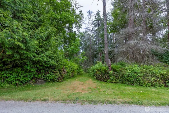 a view of a yard with plants and trees