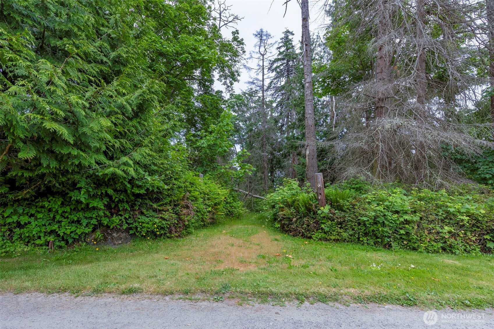 20818 President Point Road Northeast Kingston, WA 98346 - Photo 31 of 36 a view of a yard with plants and trees