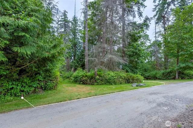 a view of a yard with a house
