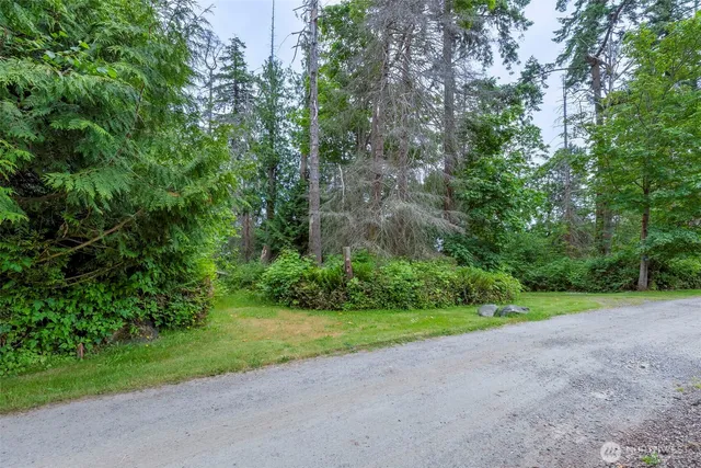 a view of a field with plants and trees