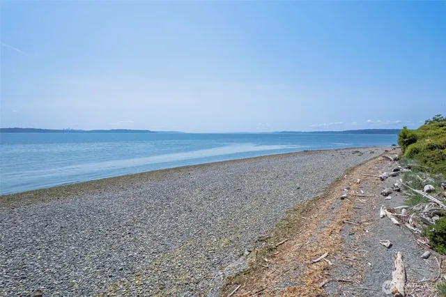 a view of a dry yard with wooden floor