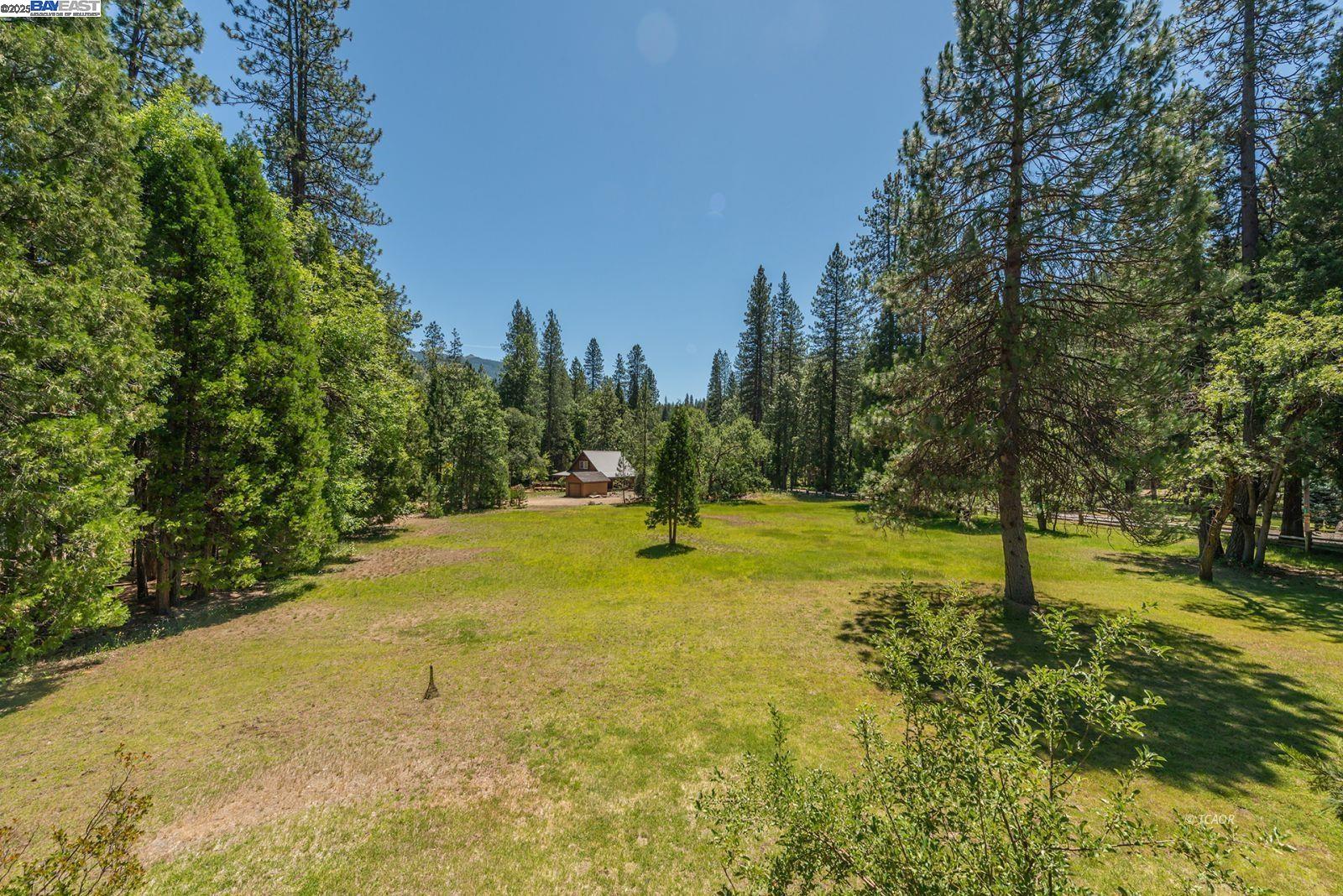 30 Dorleska Court Trinity Center, CA 96091 - Photo 30 of 50 a view of a swimming pool with a yard