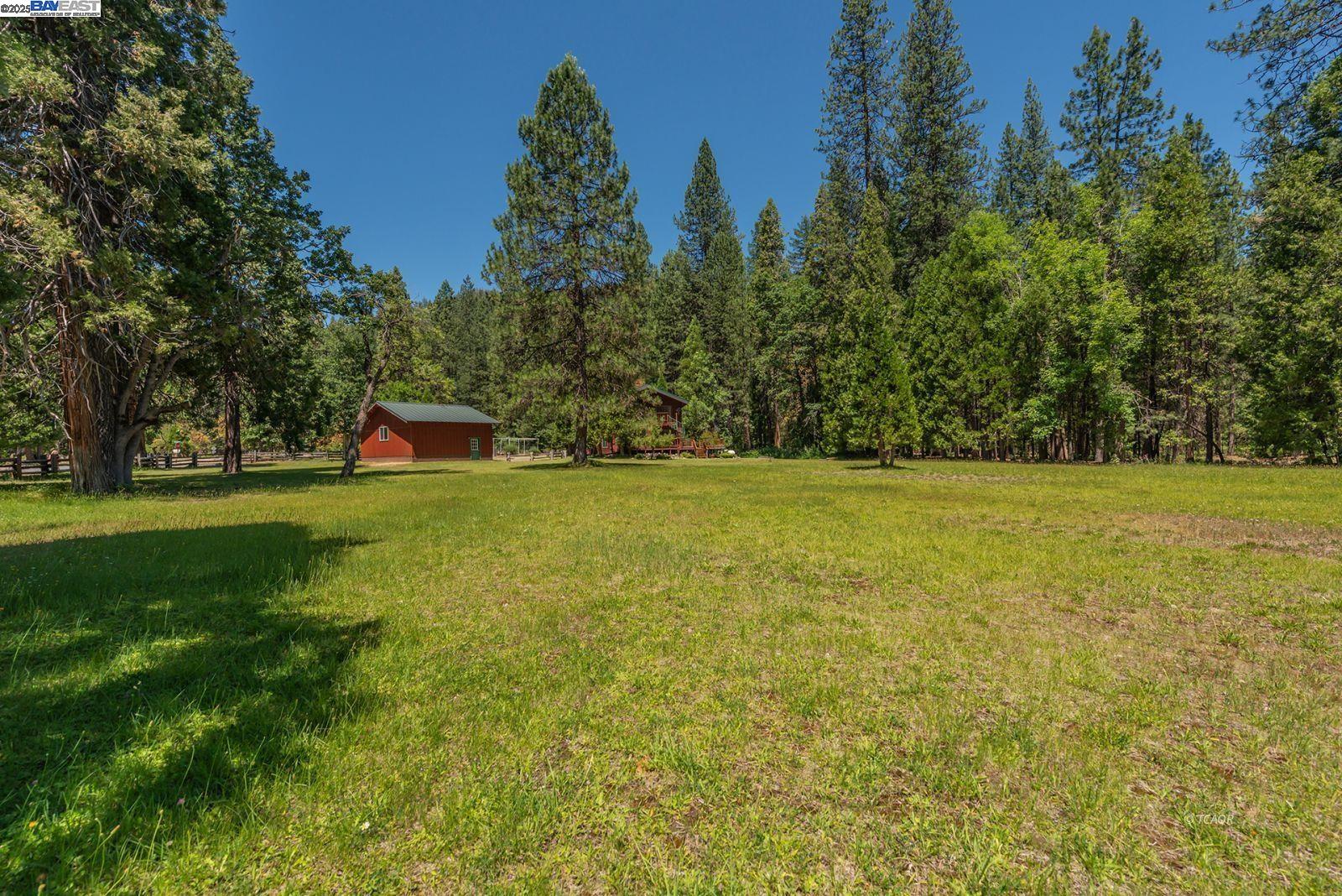 30 Dorleska Court Trinity Center, CA 96091 - Photo 36 of 50 a view of a yard with a house in the background