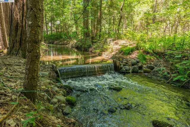 a view of lake with green space