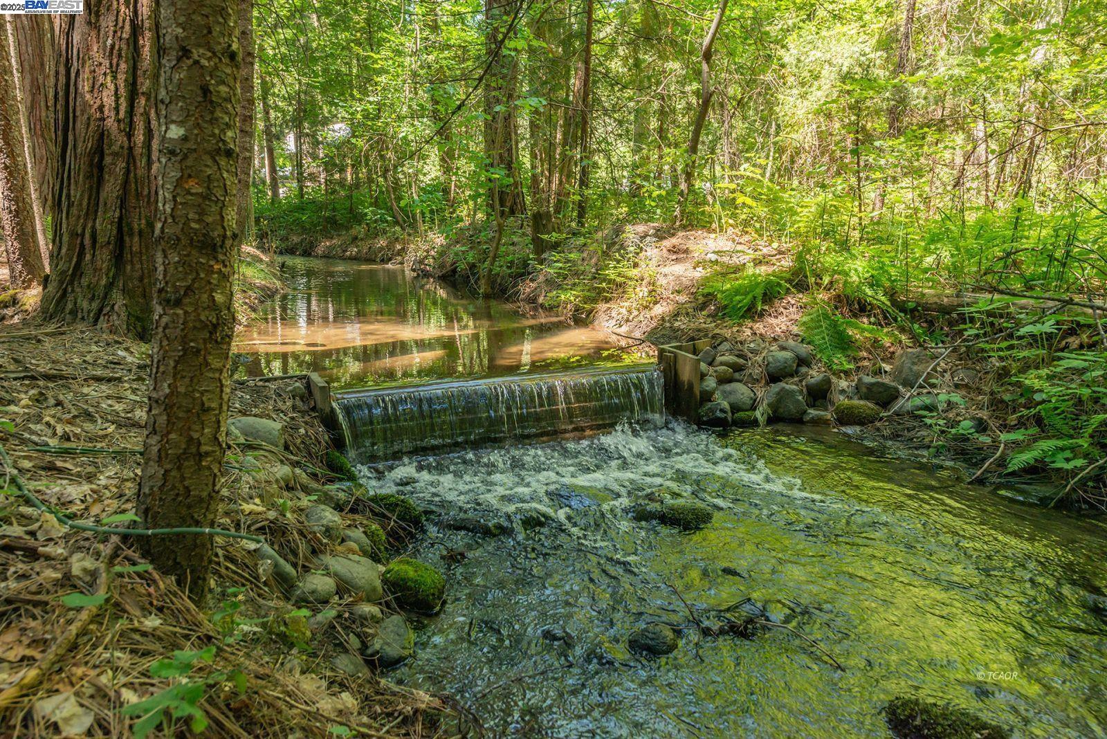 30 Dorleska Court Trinity Center, CA 96091 - Photo 40 of 50 a backyard of a house with lots of green space