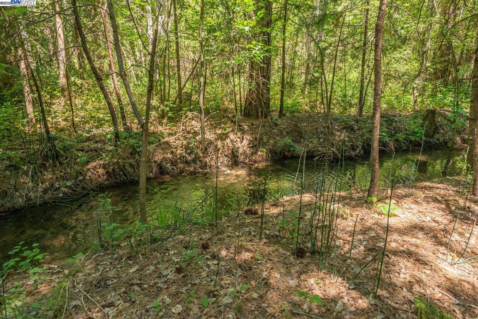 30 Dorleska Court Trinity Center, CA 96091 - Photo 42 of 50 a view of lake with green space
