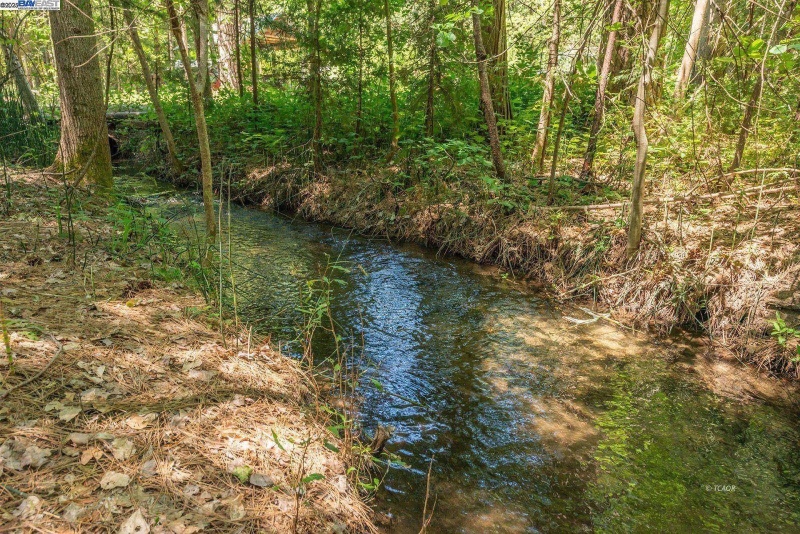 30 Dorleska Court Trinity Center, CA 96091 - Photo 43 of 50 a view of lake with green space