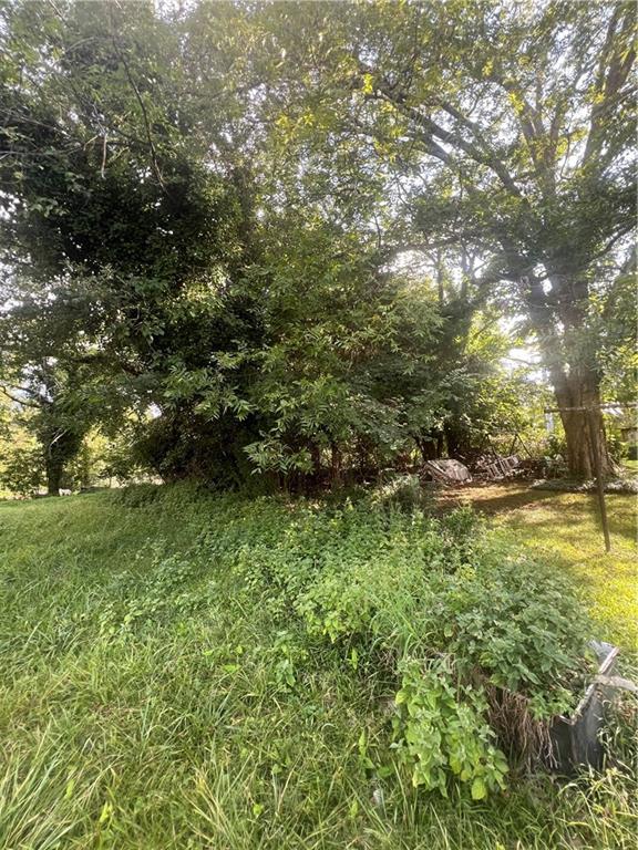 809 4th Street Stone Mountain, GA 30083 - Photo 2 of 4 a view of a yard with large trees