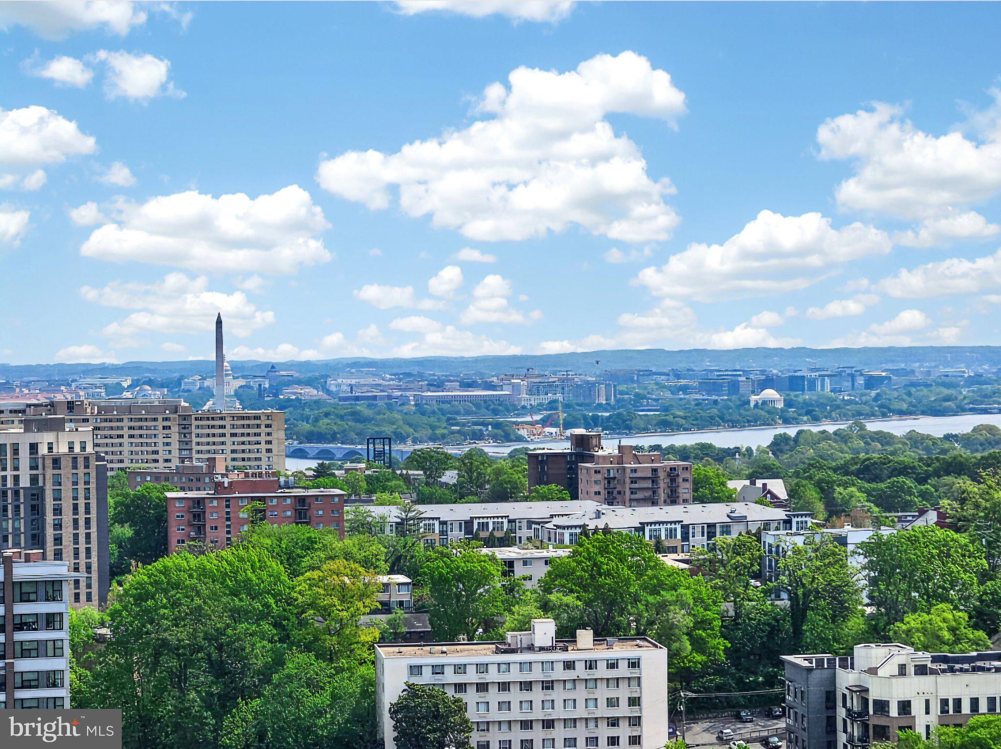 1301 North Courthouse Road, Unit 1803 Arlington, VA 22201 - Photo 22 of 35 Scenic skyline with lush greenery.