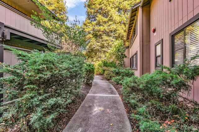 a view of a pathway with flower plants
