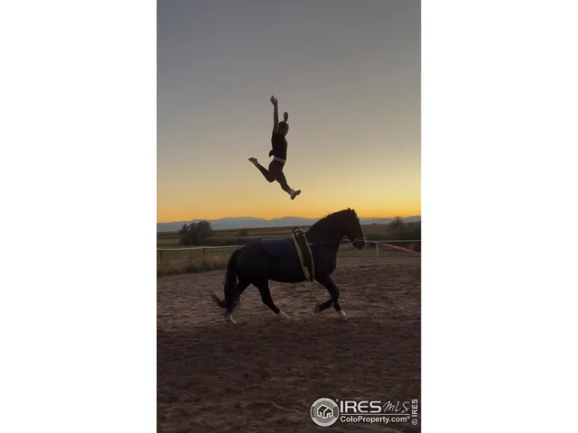 $1,150,000 | 10817 North Co Road 3, Wellington, CO 80549