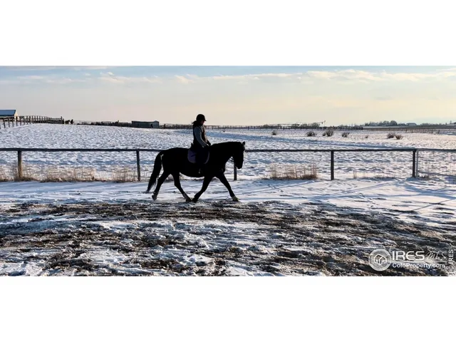 $1,150,000 | 10817 North Co Road 3, Wellington, CO 80549