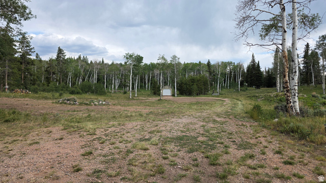 38 Spruce, Unit 38A Evanston, UT 82930 - Photo 2 of 15 Expansive lot featuring mature trees, a natural landscape, and a partially graveled area