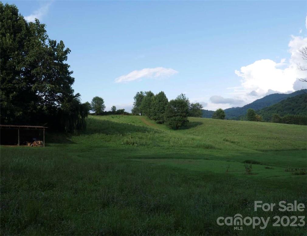 1227 Newfound Road Leicester, NC 28748 - Photo 11 of 30