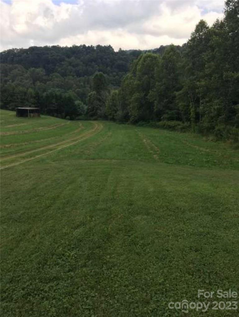 1227 Newfound Road Leicester, NC 28748 - Photo 5 of 30
