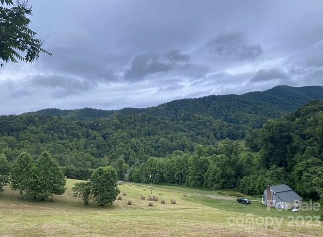 1227 Newfound Road Leicester, NC 28748 - Photo 8 of 30