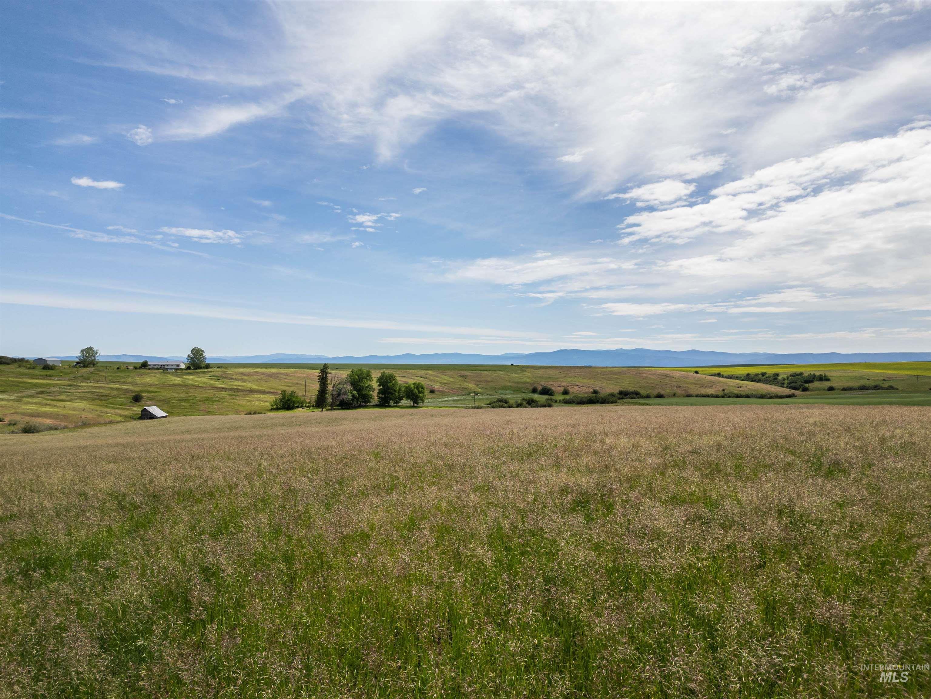 Tbd Wasem Road Grangeville, ID 83530 - Photo 5 of 11