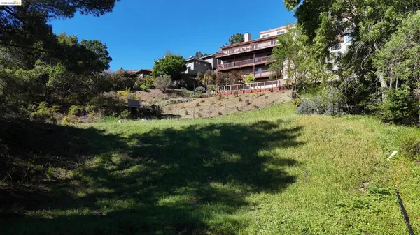 a view of outdoor space and yard