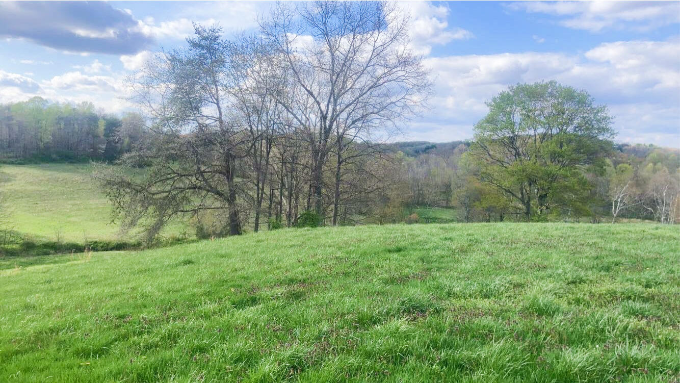 0 Cove Road Jackson, OH 45640 - Photo 2 of 2