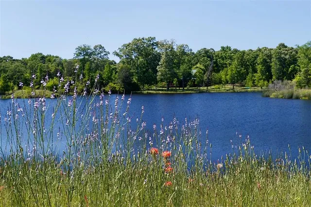 a view of a lake with a tree in the background