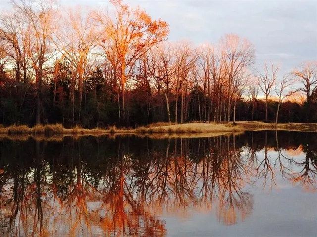 a view of a lake with trees