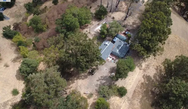 a view of a yard with a tree