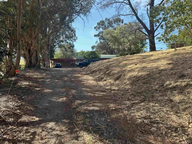 a view of backyard with small cabin