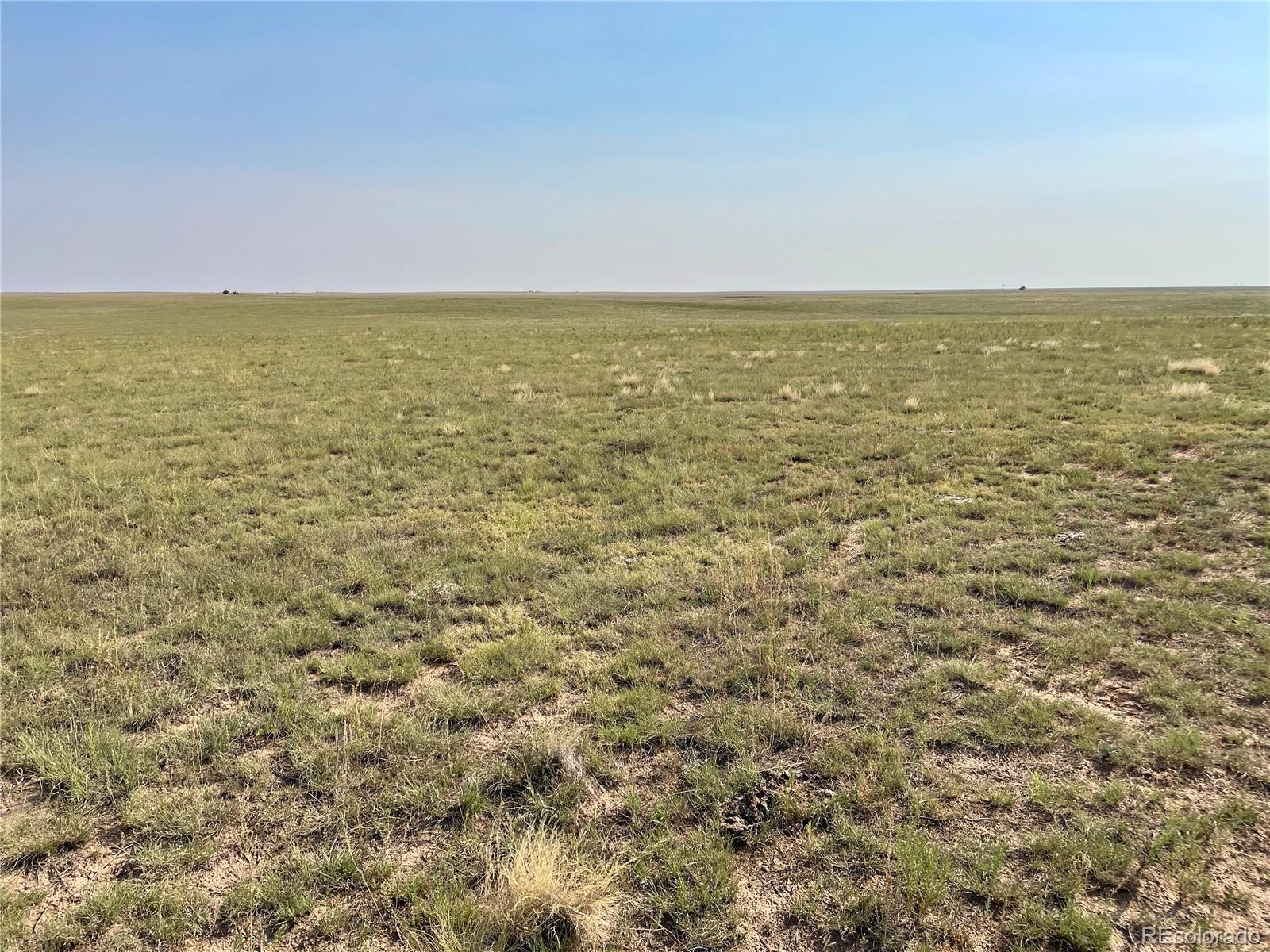 Shear Road Rush, CO 80833 - Photo 23 of 29 Gallery Image 23