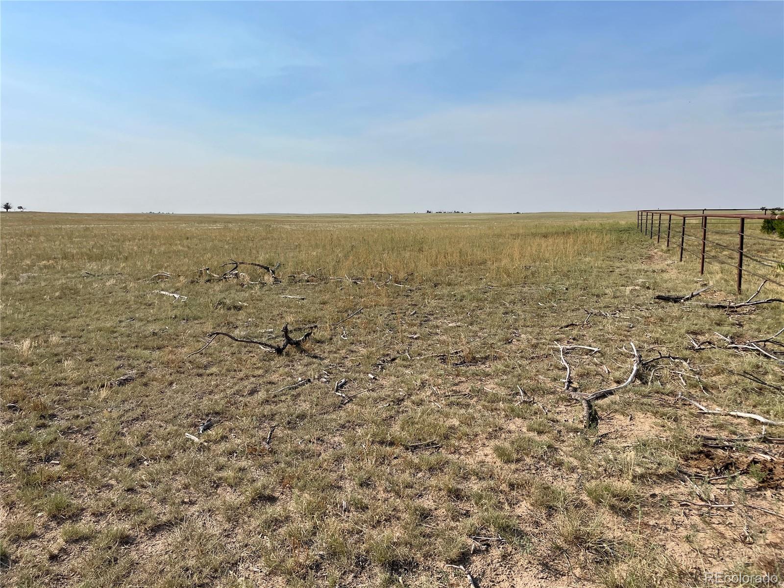Shear Road Rush, CO 80833 - Photo 24 of 29 Gallery Image 24