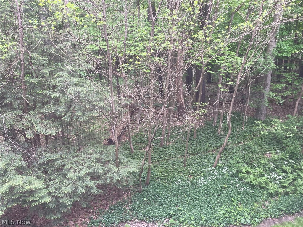 3070 Kent Road, Unit 308 Stow, OH 44224 - Photo 17 of 21 Gallery Image 17