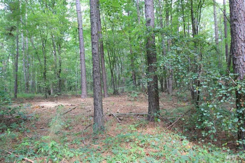 8061 Jacob Fork River Road Vale, NC 28168 - Photo 12 of 16 Gallery Image 12
