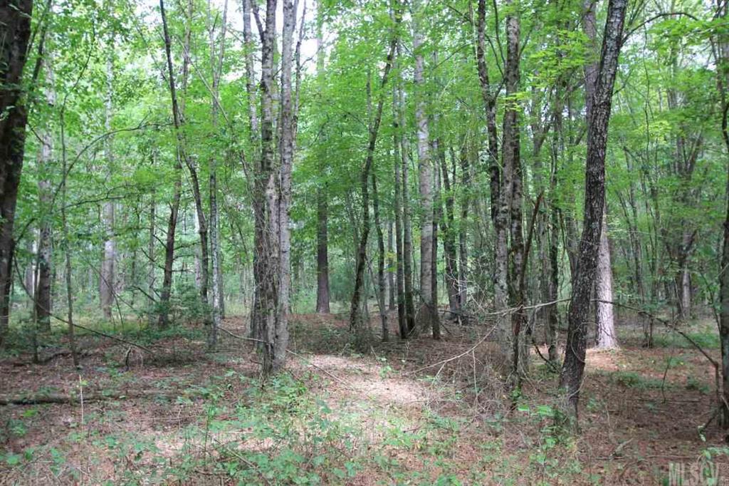 8061 Jacob Fork River Road Vale, NC 28168 - Photo 13 of 16 Gallery Image 13