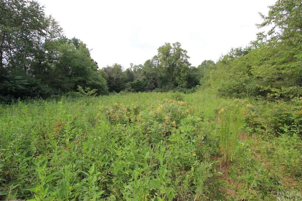 8061 Jacob Fork River Road Vale, NC 28168 - Photo 14 of 16 Gallery Image 14