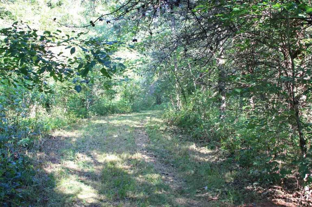 8061 Jacob Fork River Road Vale, NC 28168 - Photo 4 of 16 Gallery Image 4
