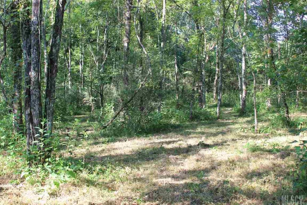 8061 Jacob Fork River Road Vale, NC 28168 - Photo 7 of 16 Gallery Image 7