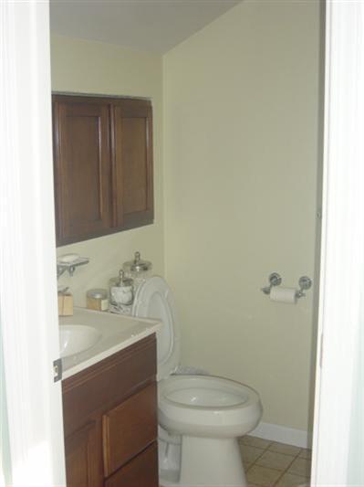 55225 South Thompson Lane Three Rivers, MI 49093 - Photo 15 of 15 Additional Photo