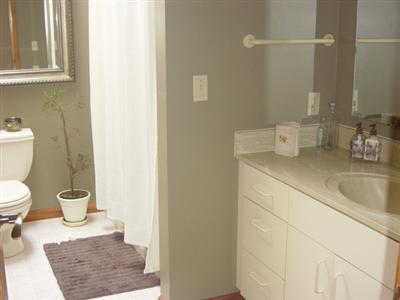 55225 South Thompson Lane Three Rivers, MI 49093 - Photo 10 of 15 Additional Photo