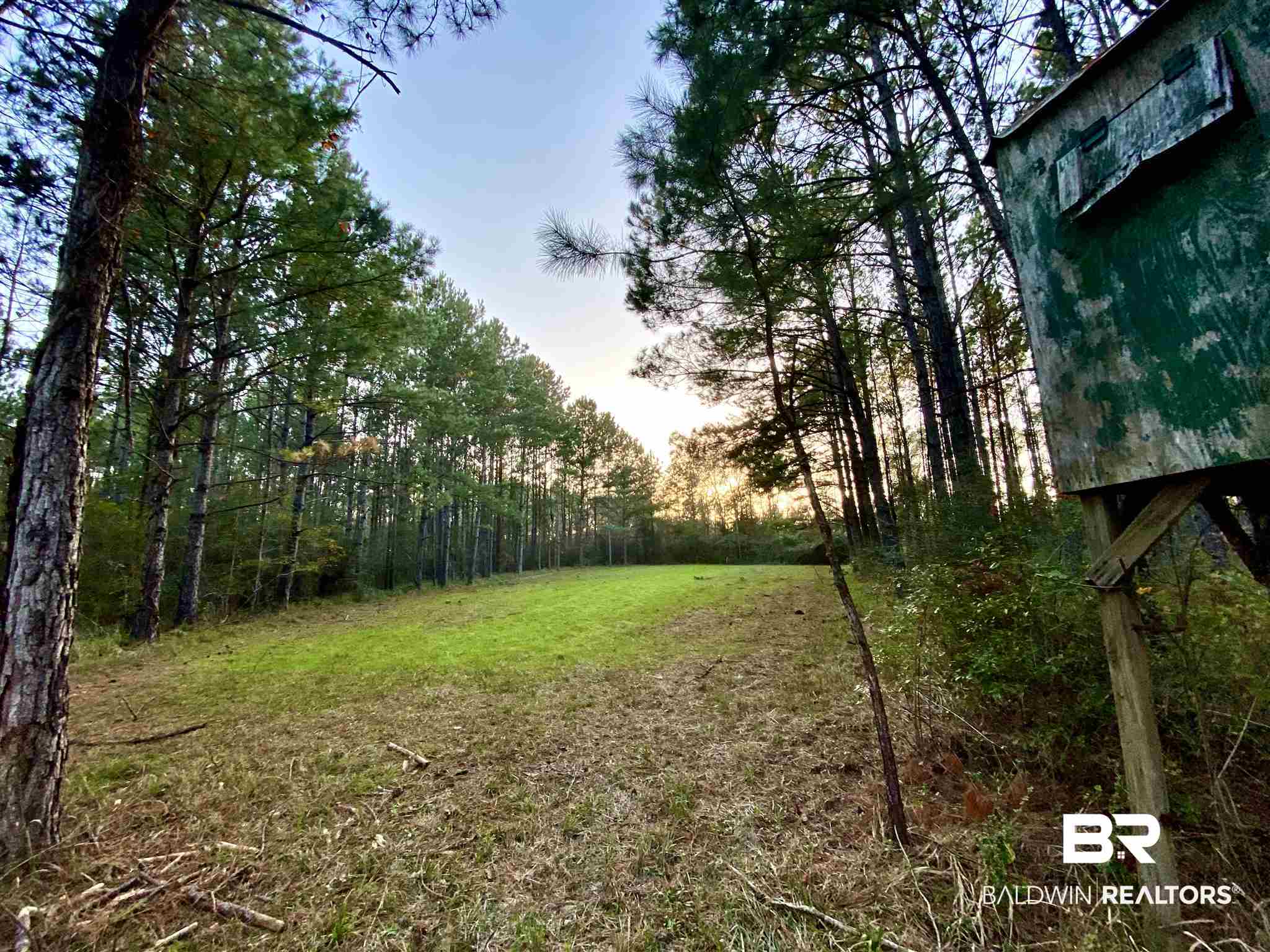 0 Country Road Fruitdale, AL 36539 - Photo 30 of 47