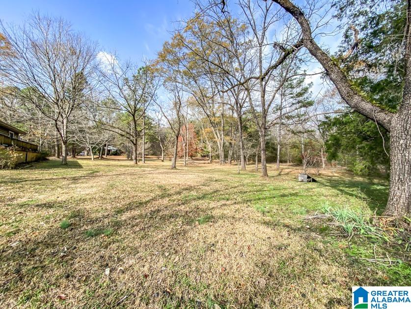 2743 Hillard Loop Townley, AL 35587 - Photo 36 of 36