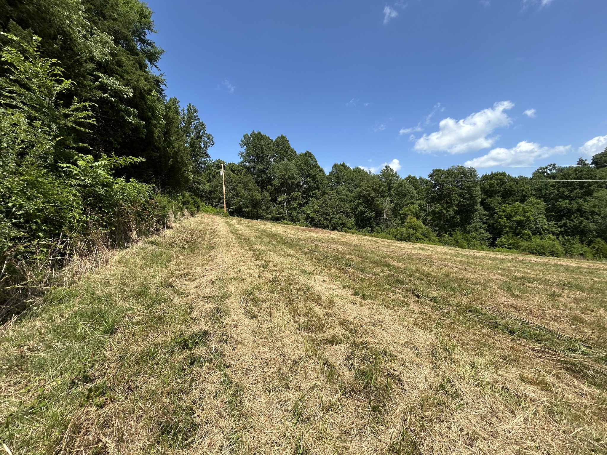 1 New Hope Cemetery Road Pulaski, TN 38478 - Photo 13 of 21