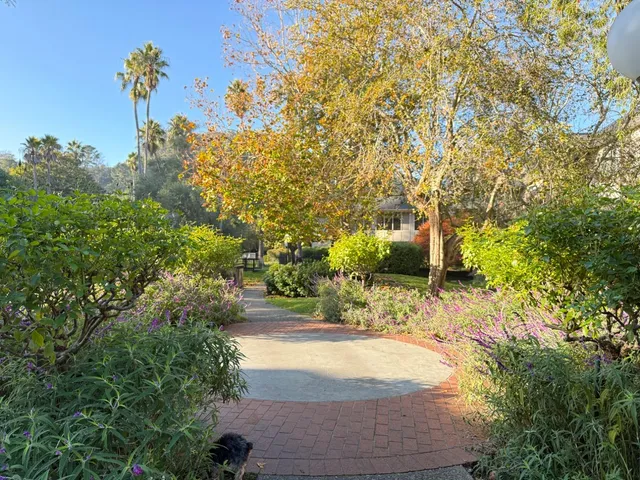a view of yard with tree in front