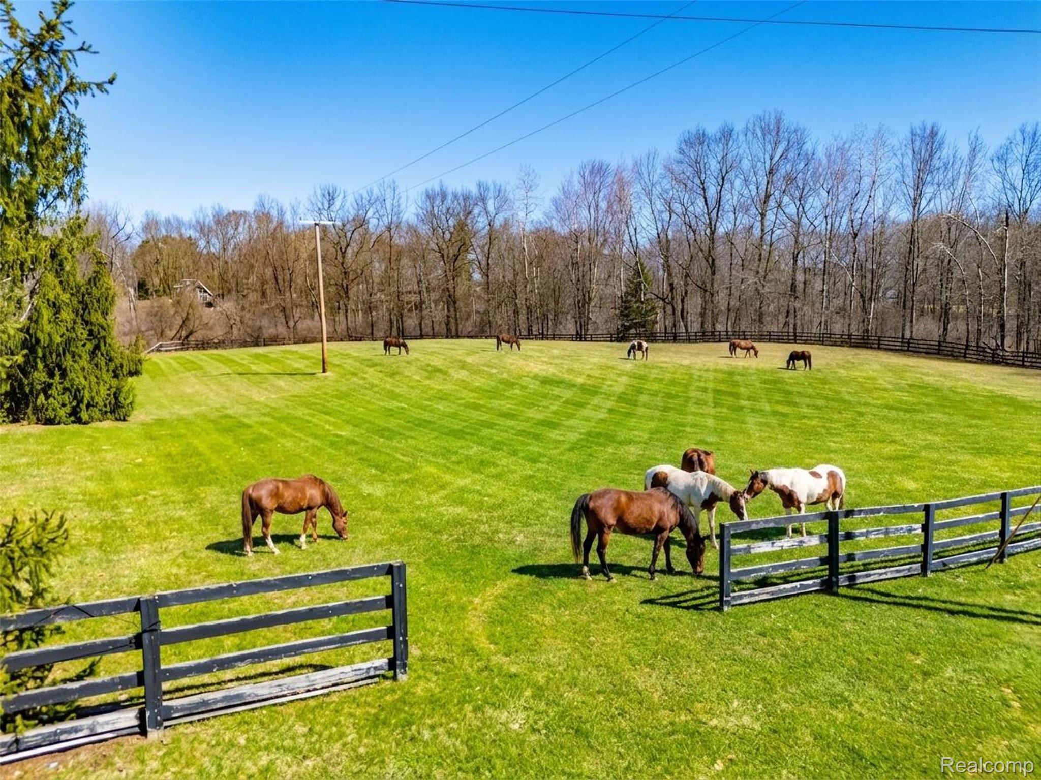 8636 Tindall Road Davisburg, MI 48350 - Photo 53 of 61 View of community with a view of rural / pastoral area