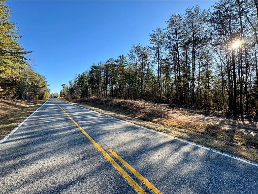 B Rock Cut Road Smyrna, SC 29743 - Photo 12 of 18