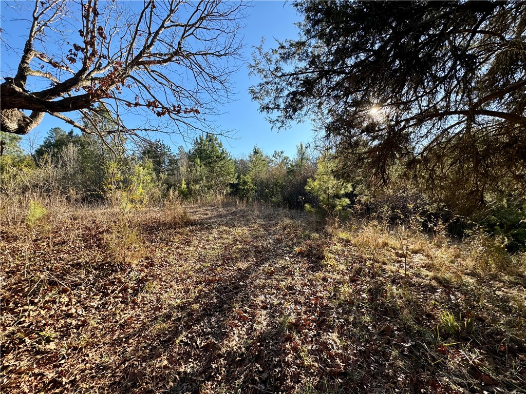 B Rock Cut Road Smyrna, SC 29743 - Photo 16 of 18
