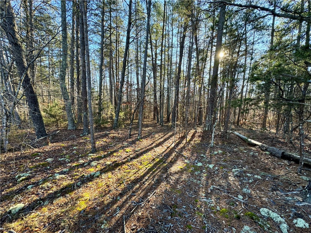 B Rock Cut Road Smyrna, SC 29743 - Photo 3 of 18