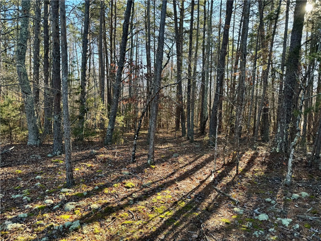B Rock Cut Road Smyrna, SC 29743 - Photo 4 of 18